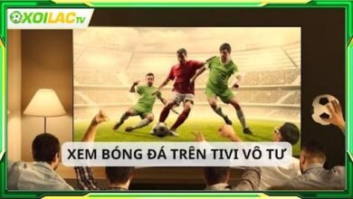 TV