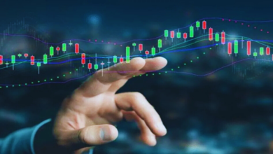 vls finance share price