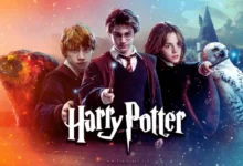 Harry Potter TV series