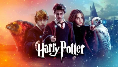 Harry Potter TV series