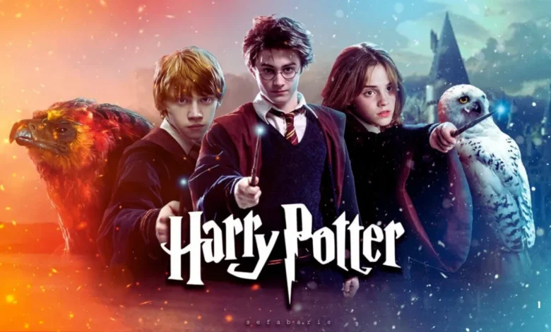 Harry Potter TV series